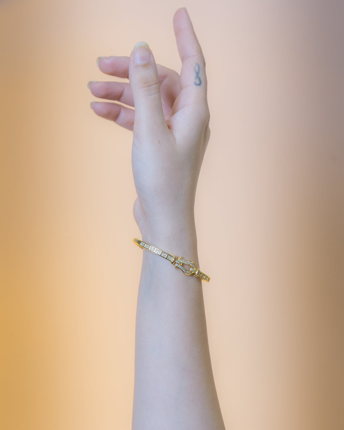 Buckle Bracelet