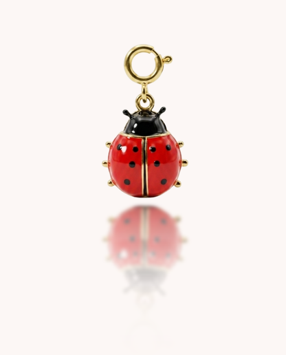 Charms