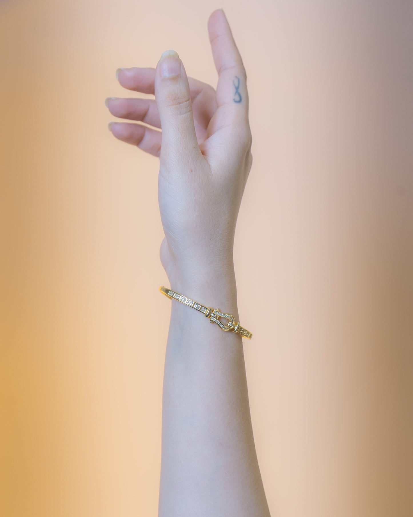 Buckle Bracelet