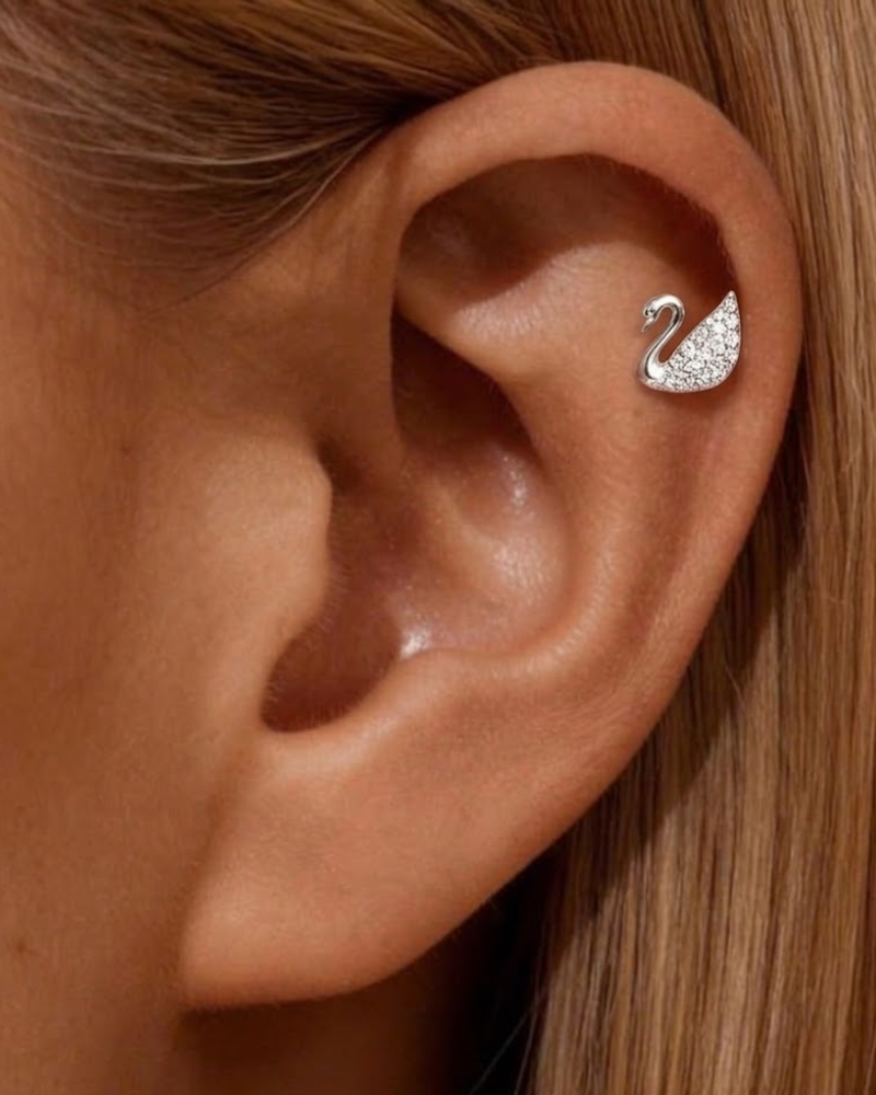 Swan Stud